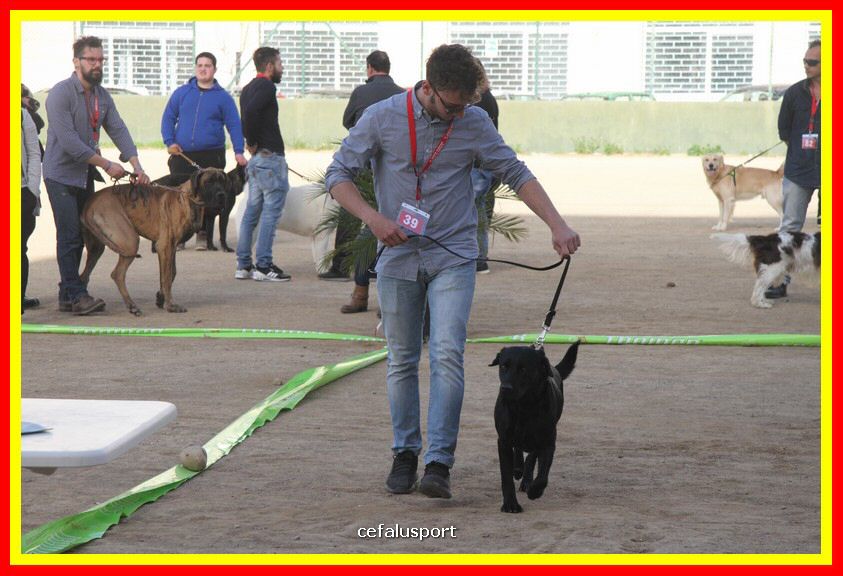 180311 mostra_canina 186.jpg